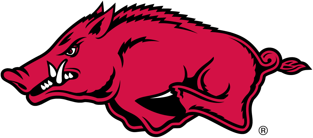 Arkansas Razorbacks 2001-Pres Alternate Logo diy DTF decal sticker